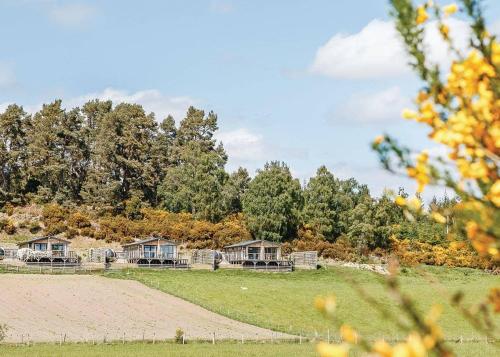 a row of cottages on a hill with trees at Kessock Highland Lodges in North Kessock