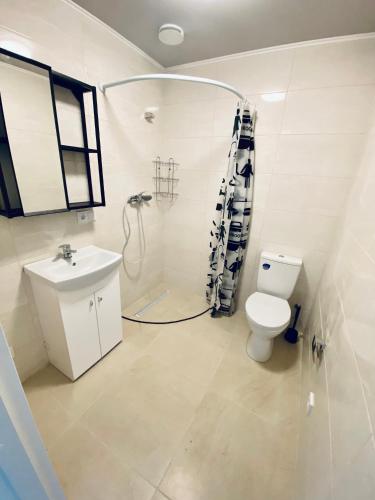 a bathroom with a toilet and a shower and a sink at AJ Chocolate Vilnius in Vilnius