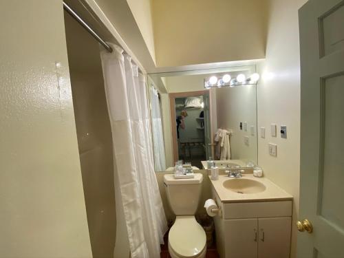 a bathroom with a toilet and a sink and a mirror at Chambery Inn in Lee