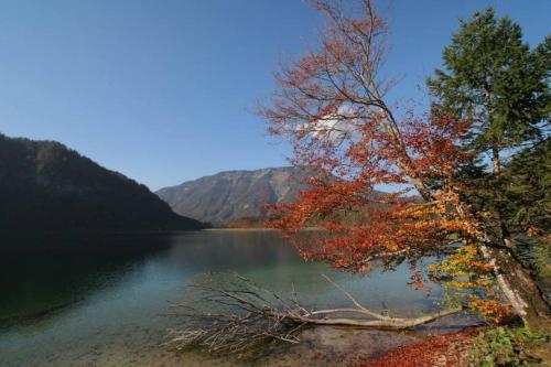 別荘の近くで見られる自然の景観