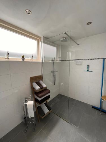 ザウテランデにあるHuisje aan het strandのバスルーム(シャワー、ガラス張りのシャワーブース付)