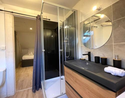 a bathroom with a shower and a sink and a mirror at Le studio du square: beauval in Romorantin