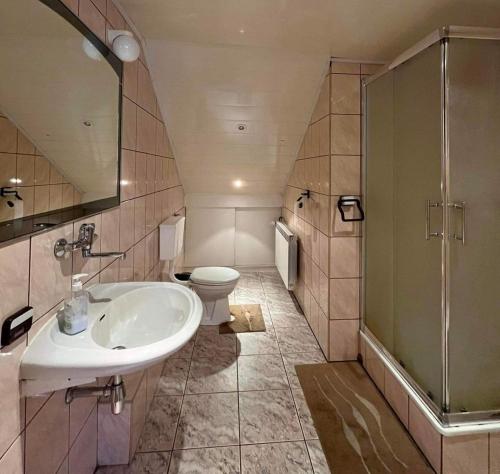 een badkamer met een wastafel, een douche en een toilet bij Willa Koniaków in Koniaków