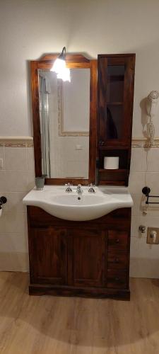 a bathroom with a sink and a mirror at Agriturismo Villa Le Vigne in Montevarchi