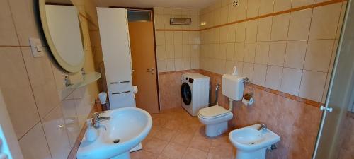 a bathroom with a sink and a toilet and a mirror at Apartments Lenardic in Bled