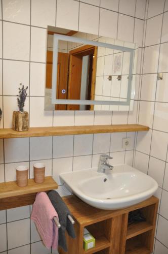 a bathroom with a sink and a mirror at Ferienwohnung Schuster am Fellerer in Aschau im Chiemgau