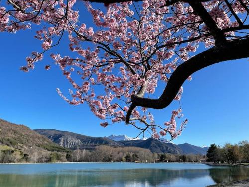 a cherry blossom tree with a view of a lake at Studio cozy idéalement placé in Veynes