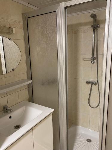 une salle de bain avec une douche et un lavabo et une douche dans l'établissement Cauterets Charmant Studio 4 personnes, à Cauterets