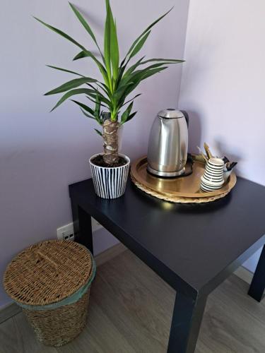 a black table with a potted plant on it at Chambres d'hôtes à 5min de Pairi Daiza et proche du SHAPE-OTAN in Lens