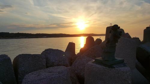 a statue sitting on rocks near a body of water at Hotel De La Ville depandance di Hotel Augustus in Fano
