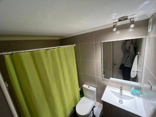 比亞里卡的住宿－Departamento en Villarrica，浴室设有绿色的浴帘、厕所和水槽