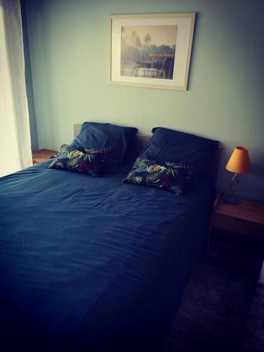 - un lit bleu avec deux oreillers dans une chambre dans l'établissement Le Petit Paradis de Noordpeene, à Noordpeene