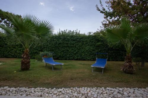 two blue chairs in a yard with two palm trees at Oasi della pace in Bisceglie
