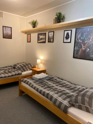 two beds in a room with pictures on the wall at Apartament MATI in Wisła