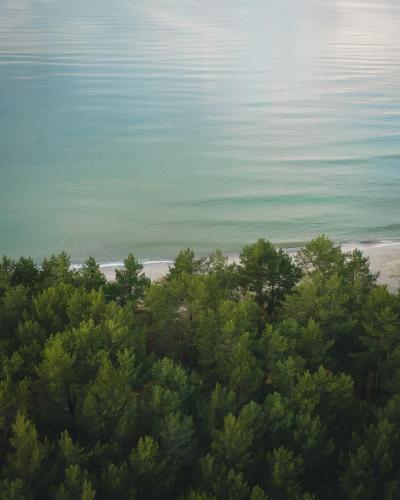 an aerial view of a beach with trees and the ocean at ÖÖD Hötels Lohusalu LEIDA & ENNO in Laulasmaa