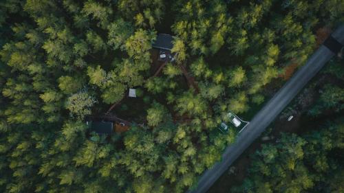 an overhead view of a forest with a house and a road at ÖÖD Hötels Lohusalu LEIDA & ENNO in Laulasmaa
