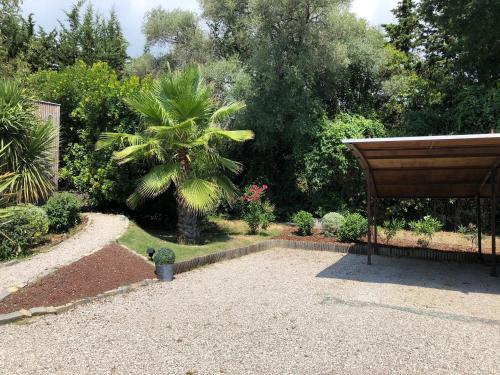 a garden with a palm tree and a wooden structure at Studio indépendant in Vence