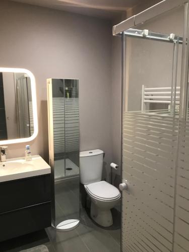 une salle de bain avec toilettes et douche en verre dans l'établissement Studio indépendant, à Vence