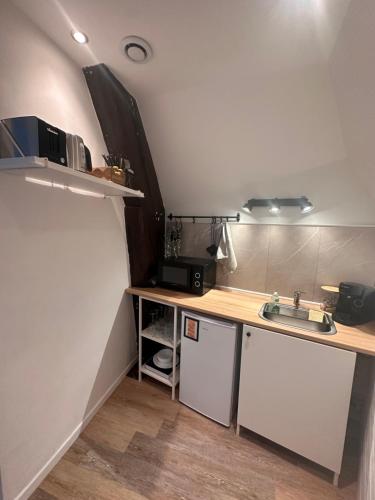 une petite cuisine avec un évier et un comptoir dans l'établissement Le Petit Port - La Belle Etoile, à Sedan