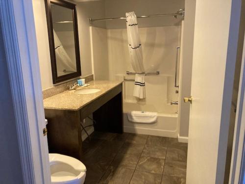 a bathroom with a toilet and a sink and a shower at Park Lane Motel in Lake George