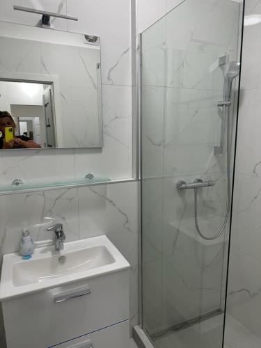 a bathroom with a shower and a sink and a mirror at Sunny House Three in Bratislava