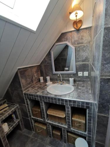une salle de bain avec un lavabo et un miroir dans l'établissement Gite Arthur et Germaine Maisonnette à la campagne avec un grand jardin, à Saint-Jeoire-Prieuré