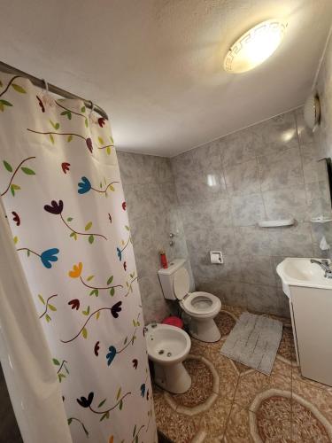 a bathroom with a toilet and a shower curtain with butterflies at RyG Apartments in San Carlos de Bariloche