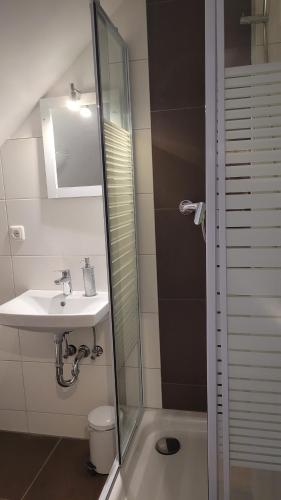 W łazience znajduje się umywalka i prysznic. w obiekcie Ferienappartement im Waldhaus Göhrde w mieście Nahrendorf