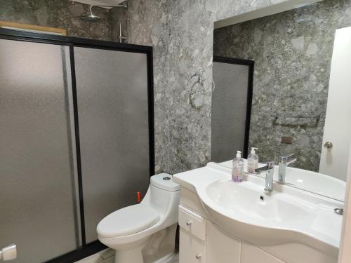 La salle de bains est pourvue d'un lavabo, de toilettes et d'une douche. dans l'établissement Casa en el Campo Paine, à Maipo