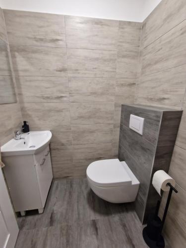 La salle de bains est pourvue de toilettes blanches et d'un lavabo. dans l'établissement Apartmán Anežka 3 s vířivou vanou, à Jičín