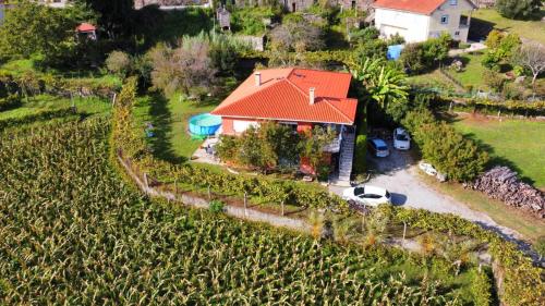 an aerial view of a house in a vineyard at Casa do Lucio in Rianjo