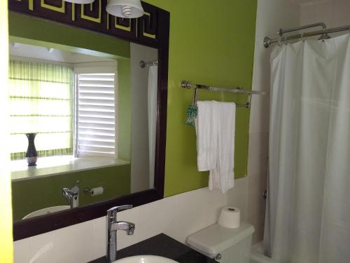 a bathroom with a sink and a mirror at Mystic Ridge Apt 2 Plus 6 in Ocho Rios