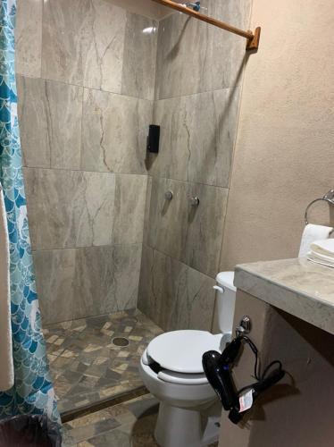 a bathroom with a toilet and a shower at Bungalows Victoria in La Manzanilla