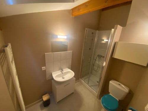 une salle de bain avec toilettes, lavabo et douche dans l'établissement Appartement climatisé au pied du Mont Ventoux, à Malemort-du-Comtat