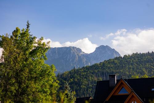 Nespecifikovaný výhled na hory nebo výhled na hory při pohledu z apartmánu