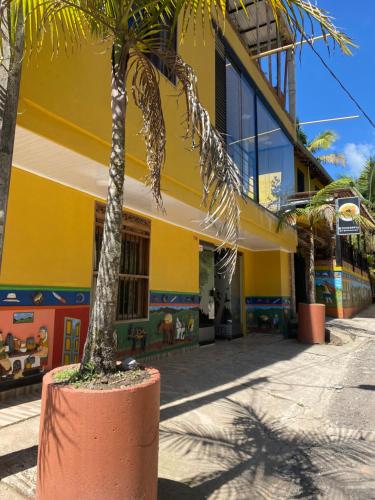 a palm tree in a pot in front of a building at Oak Tree house in Guatapé