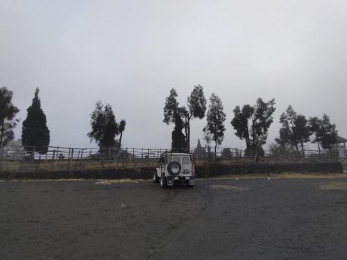 Фотография из галереи KOPIKUIN bromo homestay в городе Проболинго