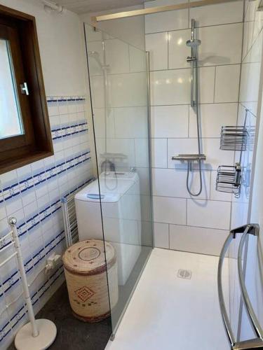 une salle de bain avec une douche en verre et des toilettes dans l'établissement Charming Bright Spacious Village Walk to lift Hike, à Praz-sur-Arly