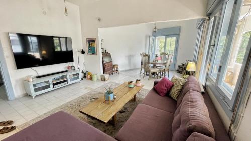 Beautiful apartment - Dizengoff square
