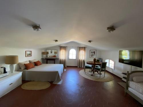 1 dormitorio con 1 cama, escritorio y TV en Villa les Palmiers en Calcatoggio