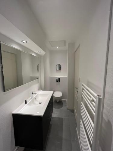 une salle de bain blanche avec un lavabo et des toilettes dans l'établissement Le Boudoir - Parc Ste Marie - Nancy Thermal, à Nancy