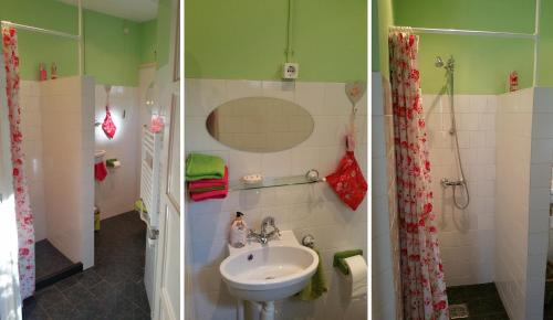 two pictures of a bathroom with a sink and a shower at Bed and Breakfast Het Oude Bos in Wijnjewoude