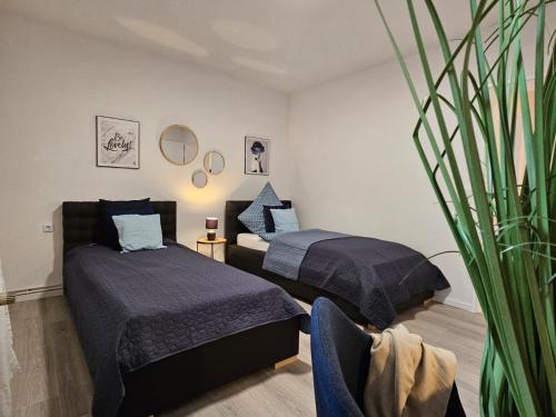 1 dormitorio con 2 camas y una maceta en Blu Apartment Ferienwohnung, Businesswohnung, Monteurzimmer, en Salzgitter