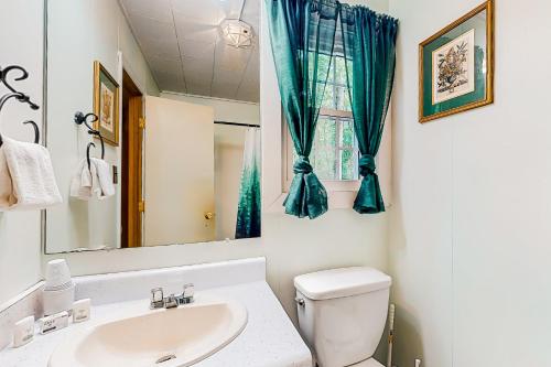 y baño con lavabo, aseo y espejo. en White Pine Perch, en Clayton