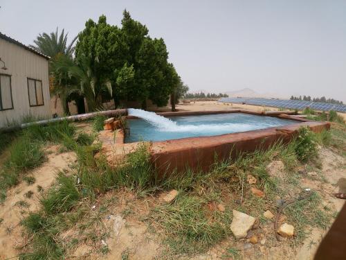 una pequeña piscina de agua en un campo de tierra en safari desert en Bawiti