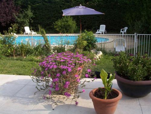 une terrasse avec 2 pots de fleurs et une piscine dans l'établissement La Maison Rose, à Saillans