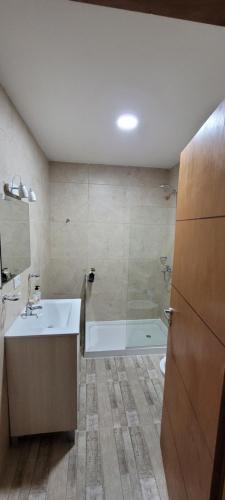 uma casa de banho com uma banheira, um lavatório e um chuveiro em Lalúan departamento temporario em Ushuaia