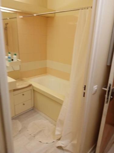 une salle de bain avec une baignoire, un lavabo et une douche dans l'établissement Studio Cosy avec terrasse face au parc des expositions, à Vanves