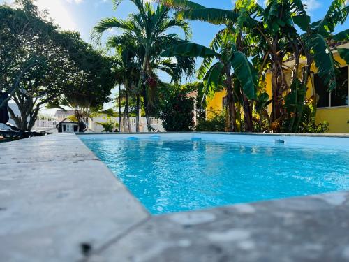 a blue swimming pool with palm trees in the background at Bon Bini Kokolishi in Willemstad
