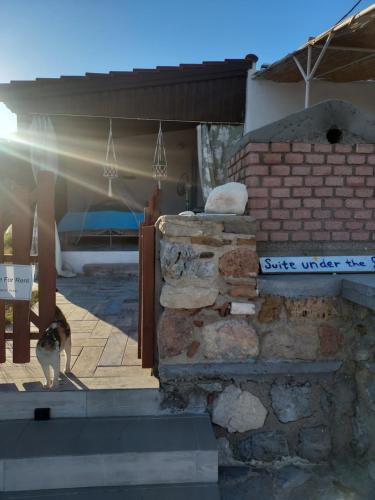 Φυσικό τοπίο κοντά σε αυτή η παραθεριστική κατοικία